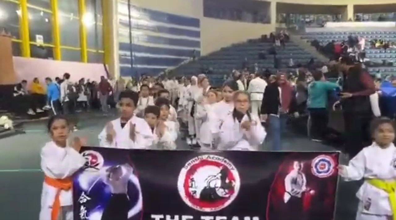 سينشي ايكيدو